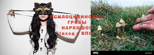 apvp Абаза