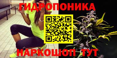 гашик Кулебаки