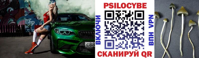 Псилоцибиновые грибы прущие грибы  Димитровград 