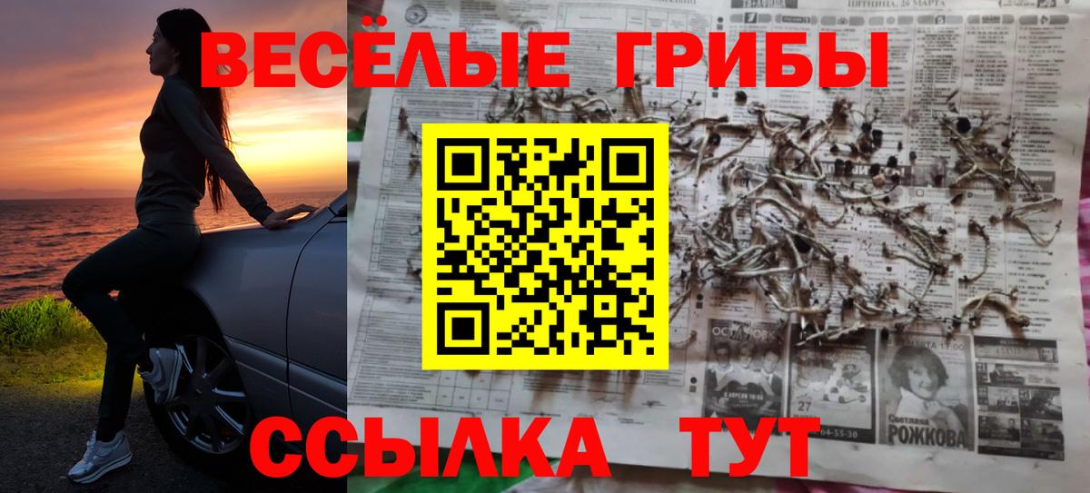 Псилоцибиновые грибы Magic Shrooms Димитровград