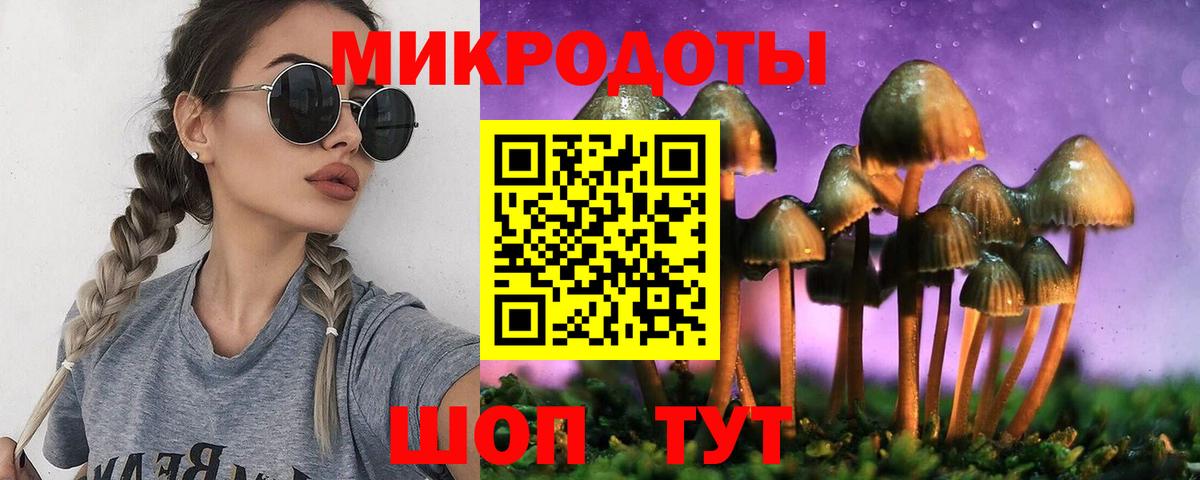 Димитровград  Псилоцибиновые грибы мицелий  Вход с VPN  Псилоцибиновые грибы мухоморы 